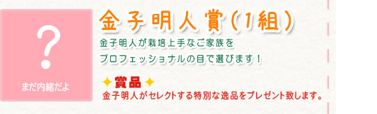 金子明人賞（1組）