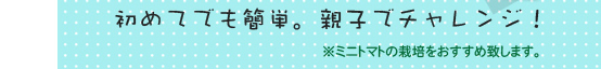 初めてでも簡単。親子でチャレンジ！