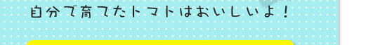 自分で育てたトマトはおいしいよ！
