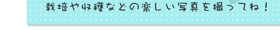 栽培や収穫などの楽しい写真を撮ってね