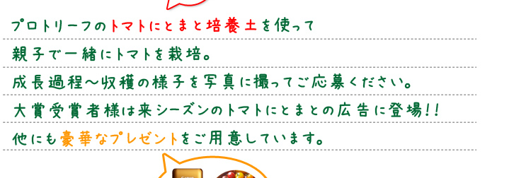 プロトリーフのトマトにとまと培養土を使って親子で一緒にトマトを栽培。成長過程～収穫の様子を写真に撮ってご応募ください。大賞受賞者様は来シーズンのトマトにとまとの広告に登場！他にも豪華なプレゼントをご用意しています。