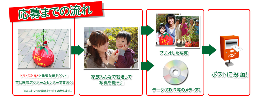 １シーズンバッグ・野菜型培養土で、親子で楽しく簡単に家庭菜園！