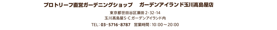 プロトリーフ直営ガーデニングショップ ガーデンアイランド玉川高島屋店
