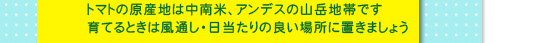 トマトの原産地は中南米、アンデスの山岳地帯です。育てるときは風通し・日当たりの良い場所に置きましょう。