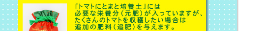 「トマトにとまと培養土」には必要な栄養分（元肥）が入っていますが、たくさんのトマトを収穫したい場合は追加の肥料（追肥）を与えます。