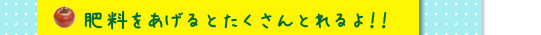 肥料をあげるとたくさんとれるよ！！