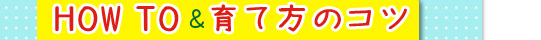 HOW TO & 育て方のコツ